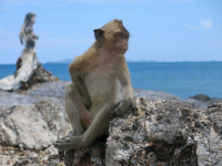 Эх люди, люди ...