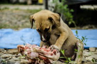 Счастье есть!