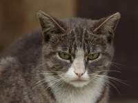 Пробуждение...