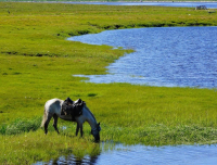 Готова выпить океан.