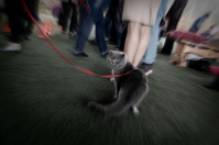 я оглянулся посмотреть....