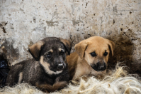 по другому не прожить....