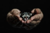 новая жизнь