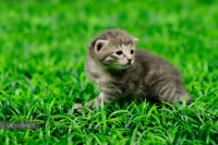 у нас открылись глазки )))