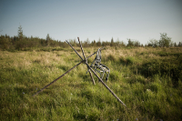 на озере "чёрном"