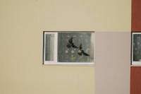 Невписался...