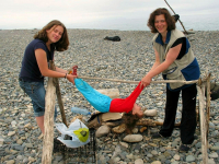 один день из жизни жуков:-)