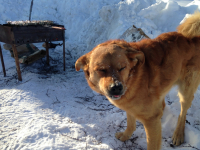 Ай, вкусно !