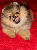 Деличка играется =)))