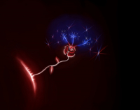 фотошопчик